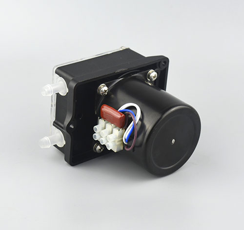 K2591抖音视频 K2591抖音视频