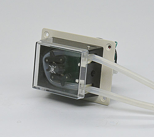 1558340187810821.jpg TH15.jpg